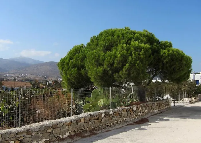 Daire Cleopatra Seaside Homes, Logaras, Paros