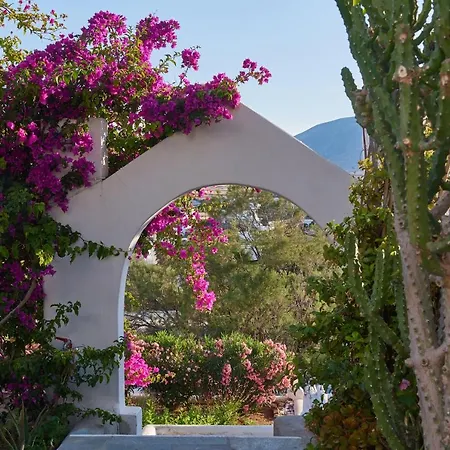 Apartment Cleopatra Seaside Homes, Logaras, Paros Piso Livadi